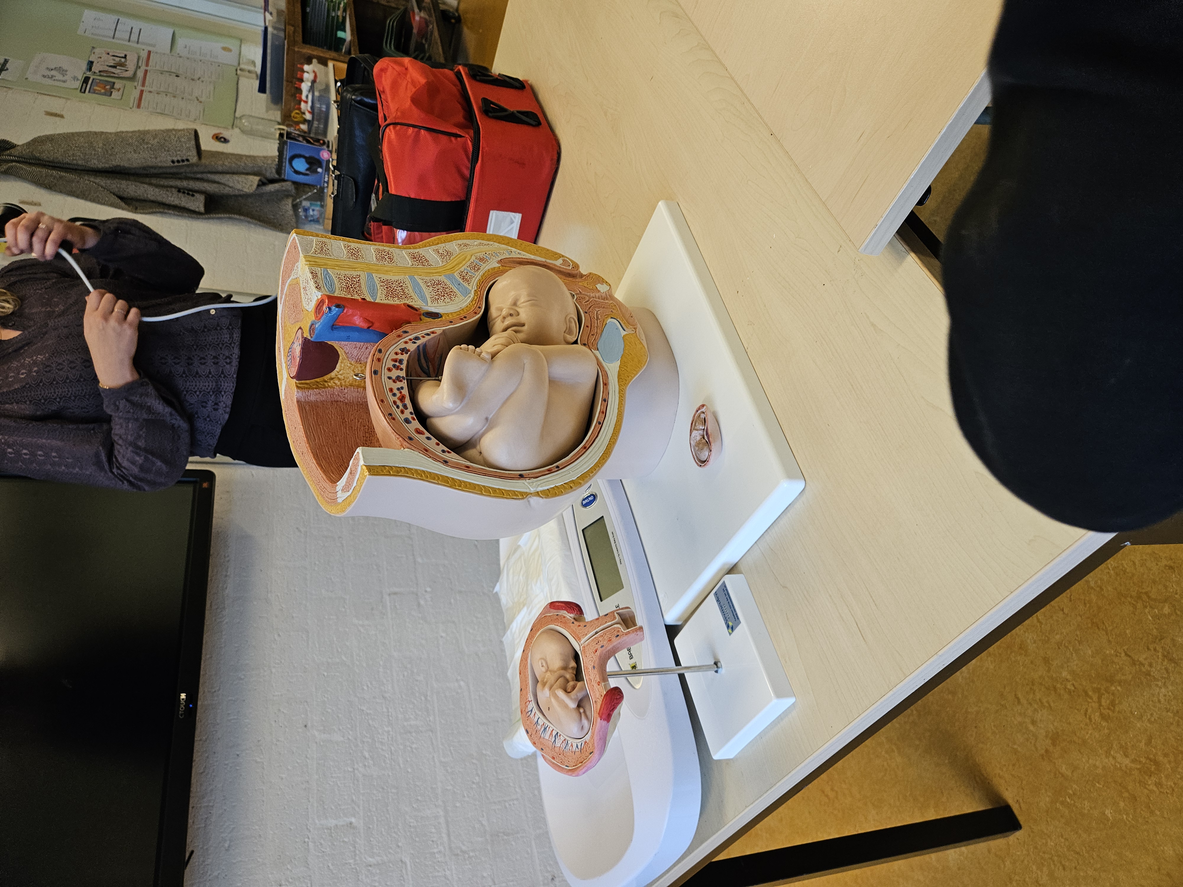 Gastles van een verloskundige