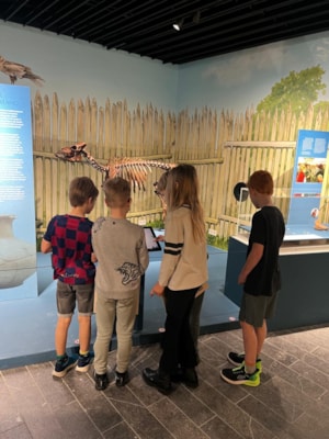 db03d4cd-0144-41d3-b958-07d7f341efe0